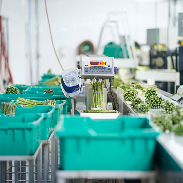 專業(yè)消毒滅菌公司