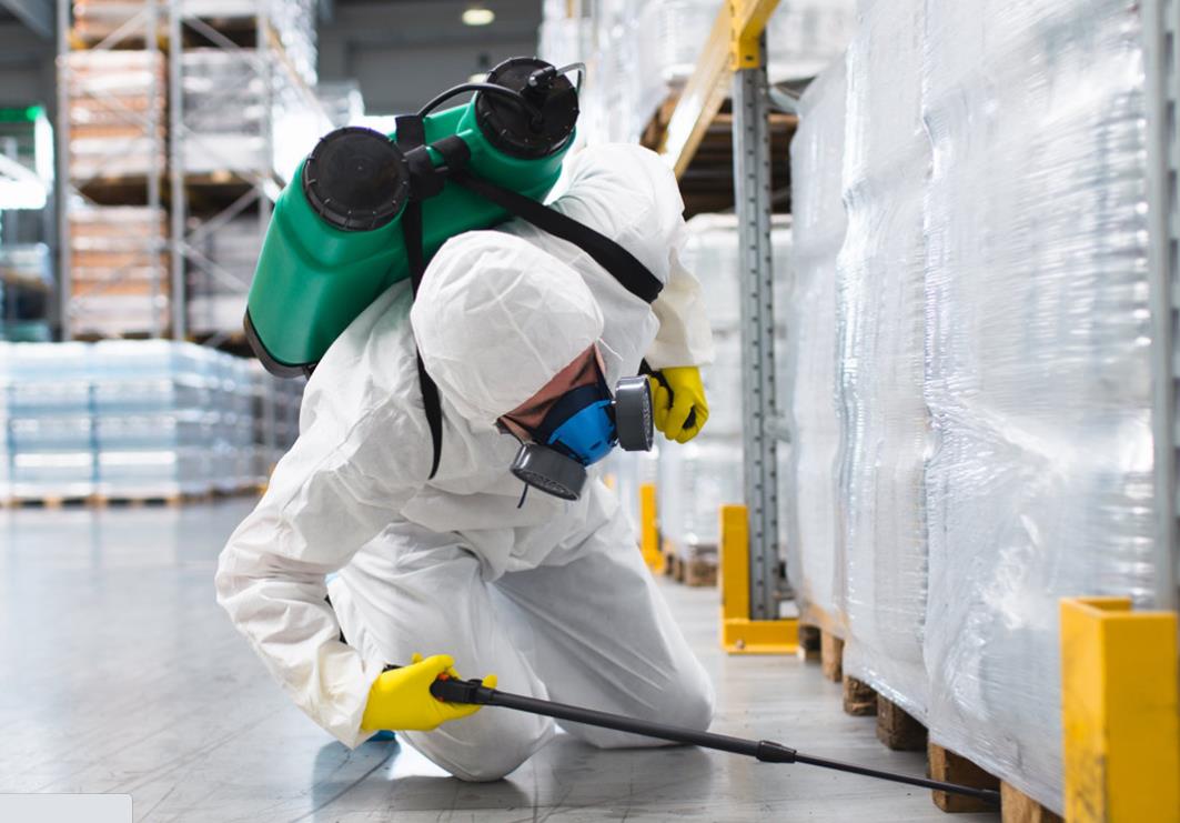 蚊蟲消殺公司哪家強(qiáng)