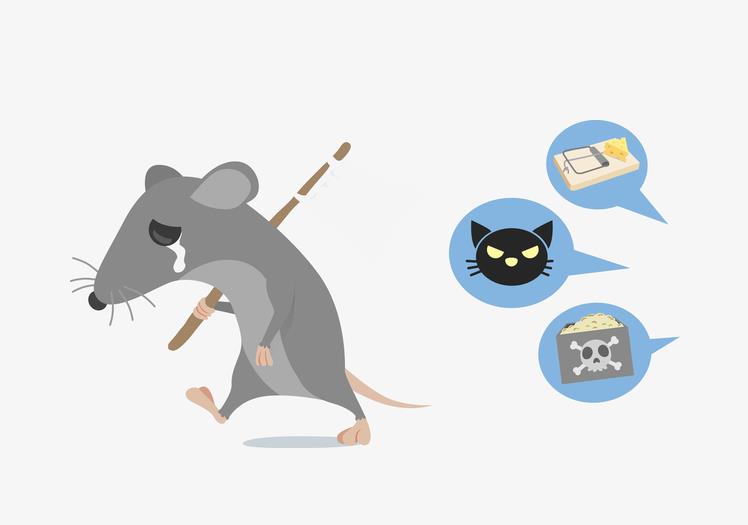 春季朝陽區(qū)滅鼠常用什么藥？有哪些注意事項(xiàng)？